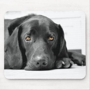 Black Labrador Mouse Mat