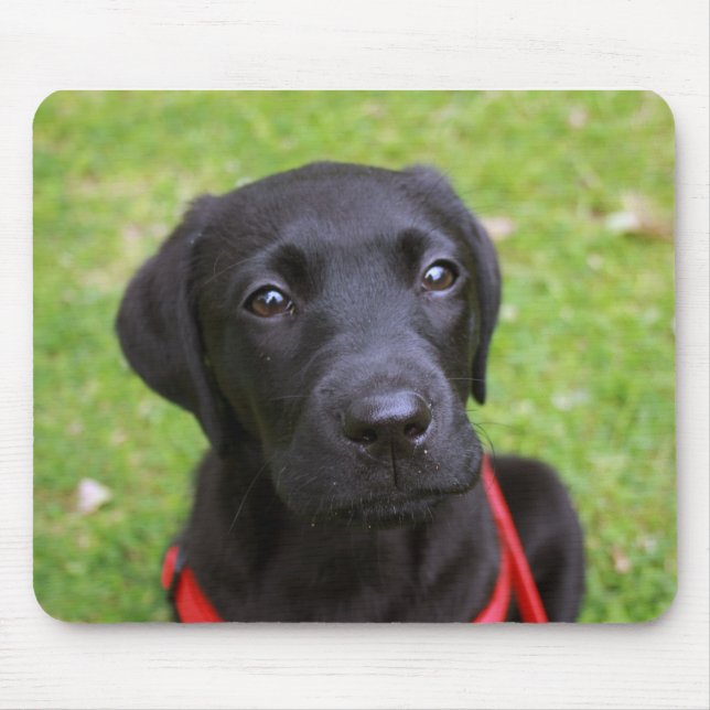 Black Labrador Mouse Mat (Front)