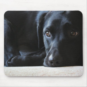 Black Labrador Mouse Mat