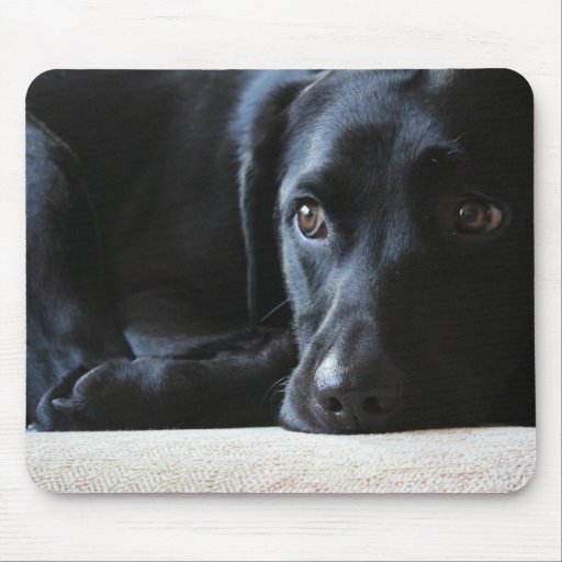 Image of Black Labrador Mouse Mat