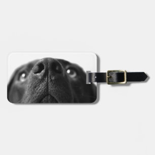 Black Labrador nose up close Luggage Tag