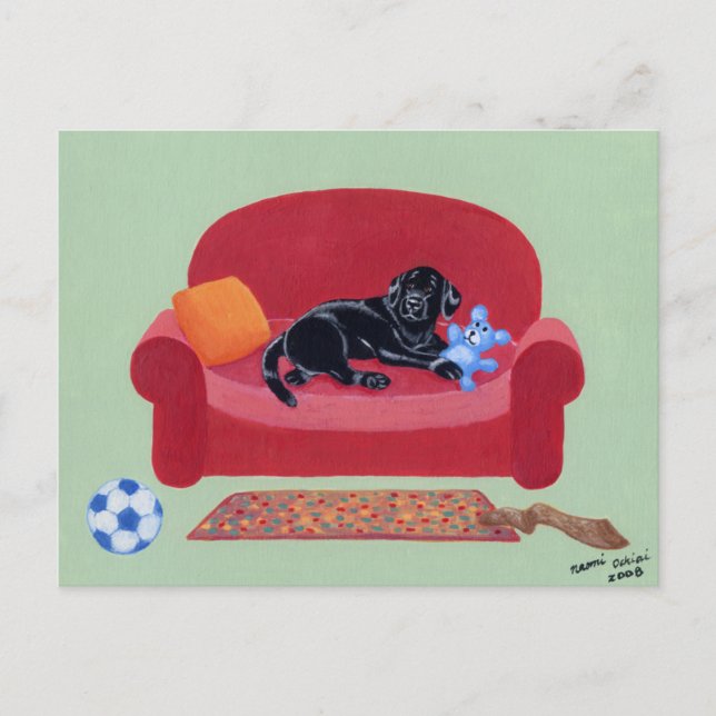 Black Labrador on the pink couch Postcard (Front)
