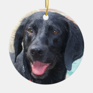 Black Labrador ornament