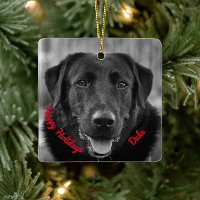 Black Labrador Photo Pet Dog Ceramic Ornament (Tree)