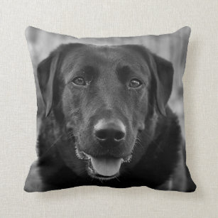 Black Labrador Photo Pet Dog  Cushion