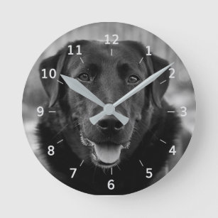 Black Labrador Photo Pet Dog Square Wall Clock