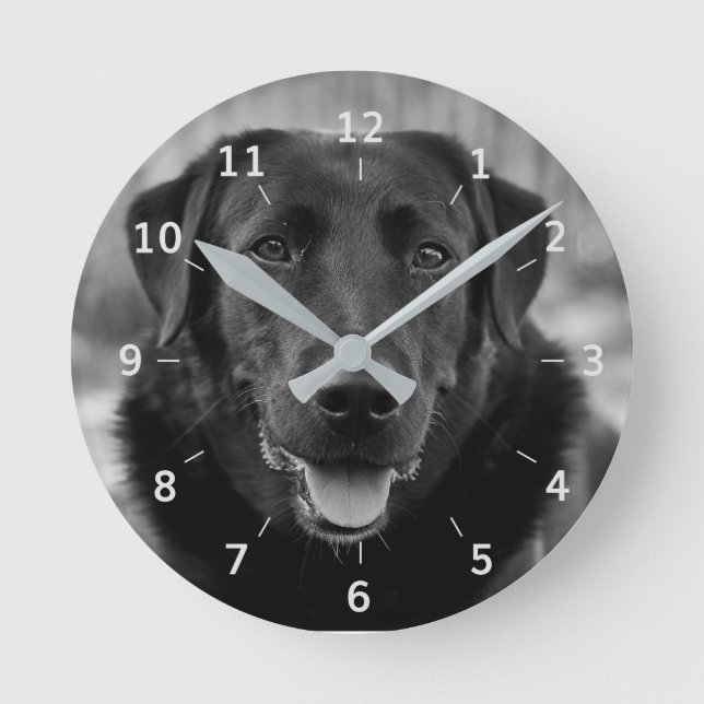 Black Labrador Photo Pet Dog Square Wall Clock (Front)