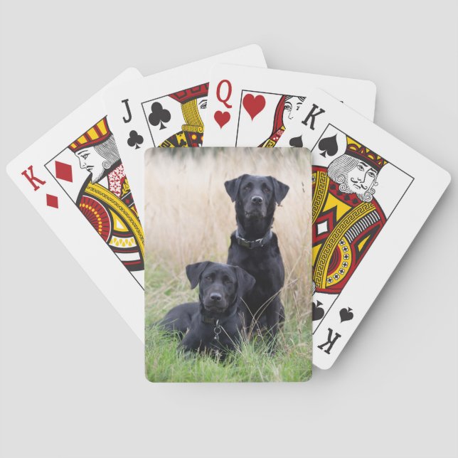 Black Labrador playing cards (Back)