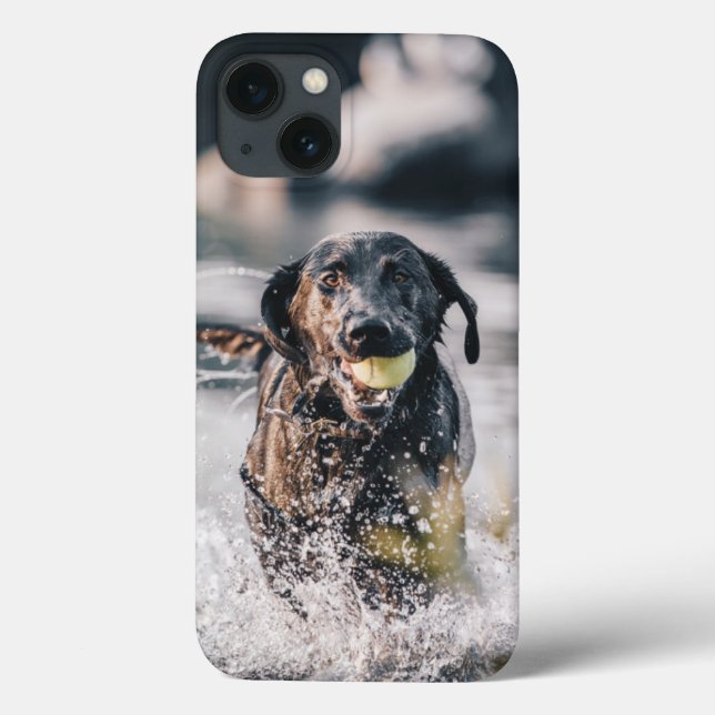Black Labrador Plays Fetch In Water Case-Mate iPhone Case (Back)