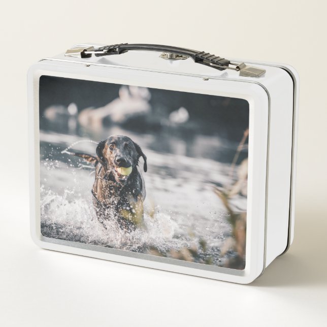 Black Labrador Plays Fetch In Water Metal Lunch Box (Back)