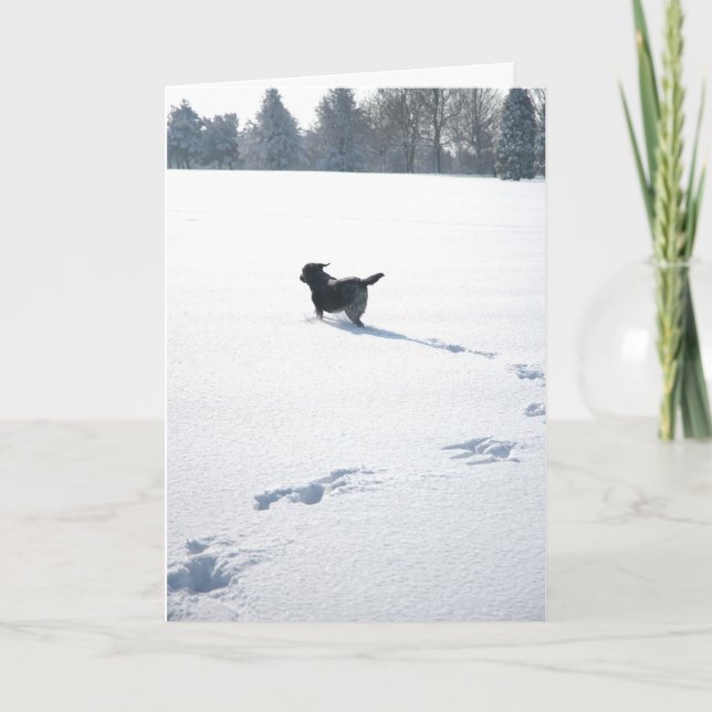 Black Labrador plays in the snow Holiday Card (Front)