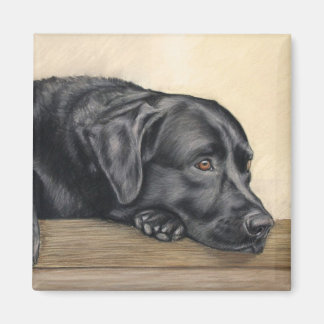 Black Labrador portrait Magnet