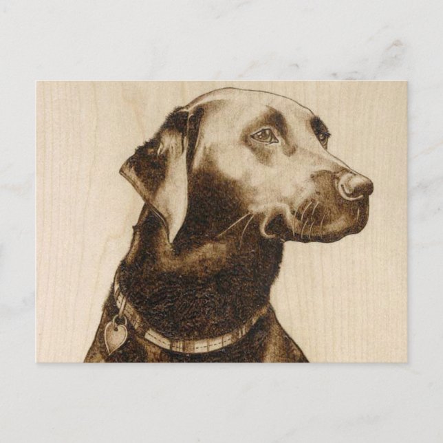 Black Labrador Postcard (Front)