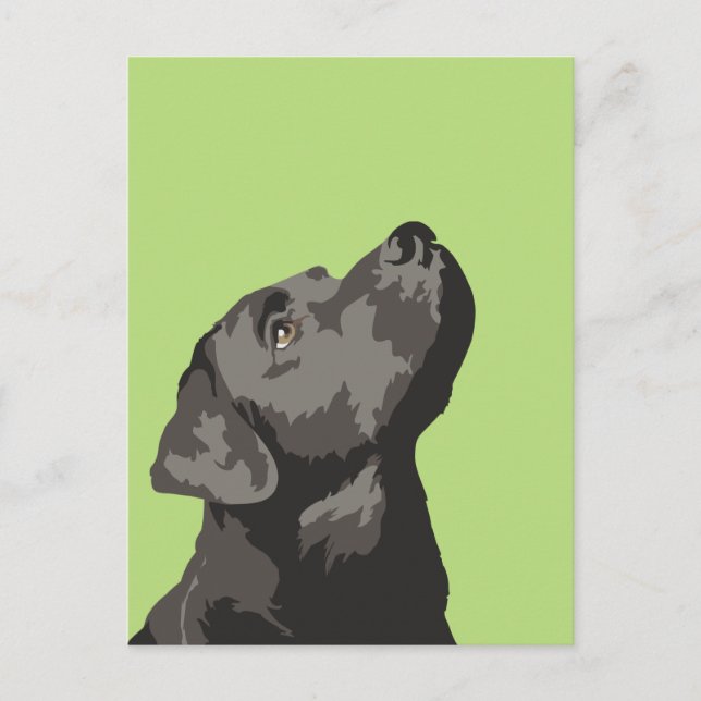 Black Labrador Postcard (Choose Your Own Colour) (Front)