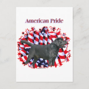 Black Labrador Pride Postcard
