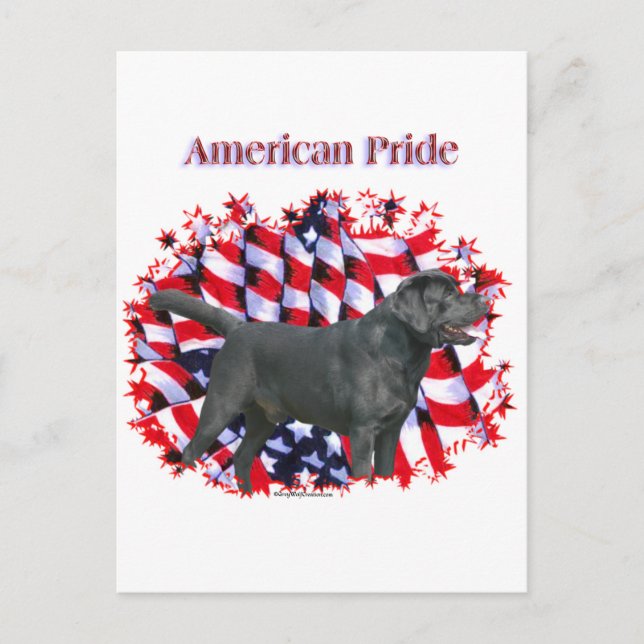 Black Labrador Pride Postcard (Front)