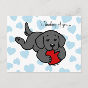 Black Labrador Puppy Chewing Heart Postcard