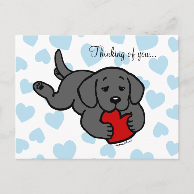 Black Labrador Puppy Chewing Heart Postcard (Front)