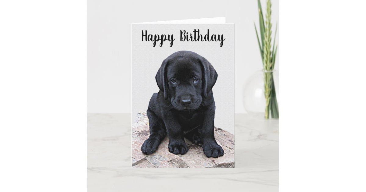 Black Labrador Puppy Happy Birthday Card Zazzle.co.uk