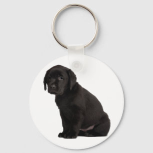 Black Labrador Puppy Key Ring