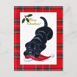 Black Labrador Puppy & Santa Hat Christmas Holiday Postcard