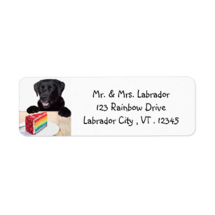 Black Labrador Rainbow Cake Dog Party