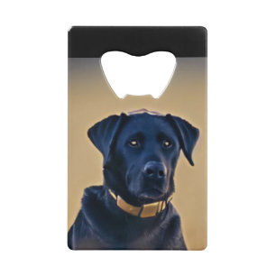Black Labrador Retriever
