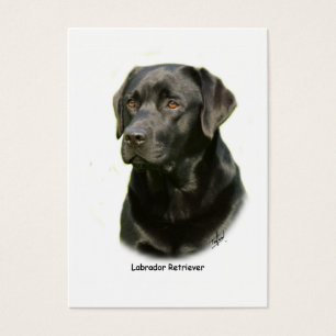 Black Labrador Retriever