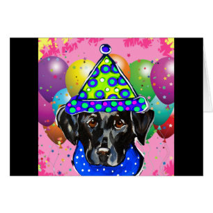 Black Labrador Retriever