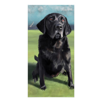 Black Labrador Retriever Arleigh on the Coast Art Poster