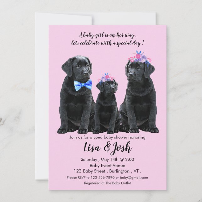 Black Labrador Retriever Baby Shower Invitation  (Front)
