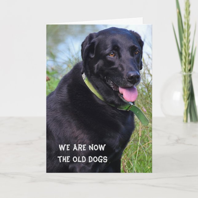 Black Labrador Retriever birthday humour Card (Front)