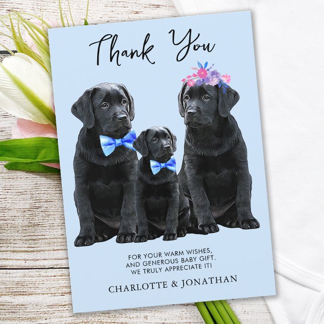 Black Labrador Retriever Blue Boy Puppy Dog  Thank You Card (Creator Uploaded)