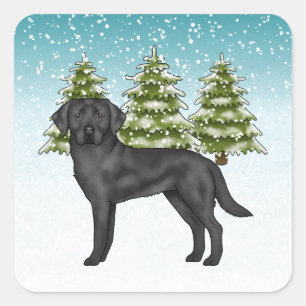 Black Labrador Retriever Blue Snowy Winter Forest Square Sticker