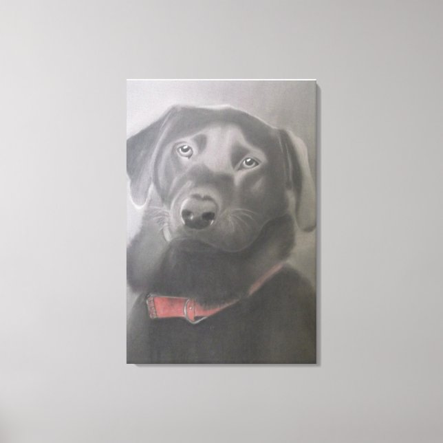 "Black Labrador Retriever" Charcoal Drawing Canvas Print (Front)