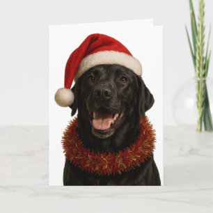 Black Labrador Retriever Christmas card