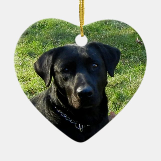 Black Labrador Retriever Christmas Ornament Heart (Front)