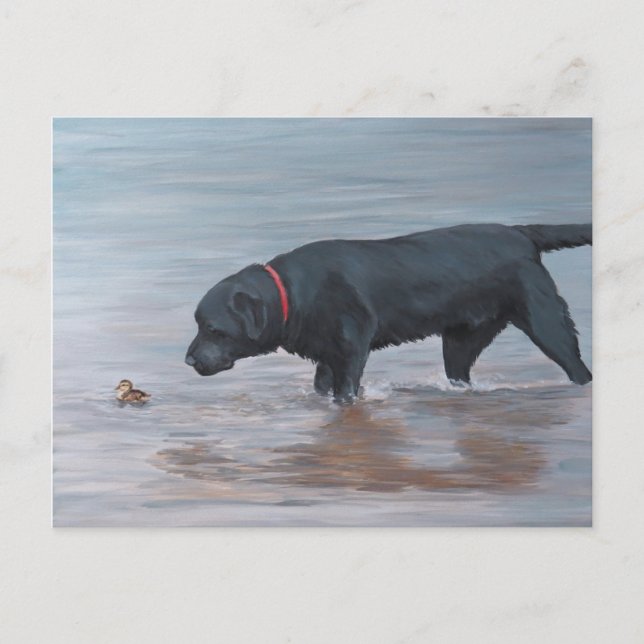 Black Labrador Retriever Dog Art Postcard (Front)
