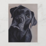 Black Labrador Retriever Dog Art Postcard