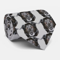 Black Labrador Retriever Dog Face