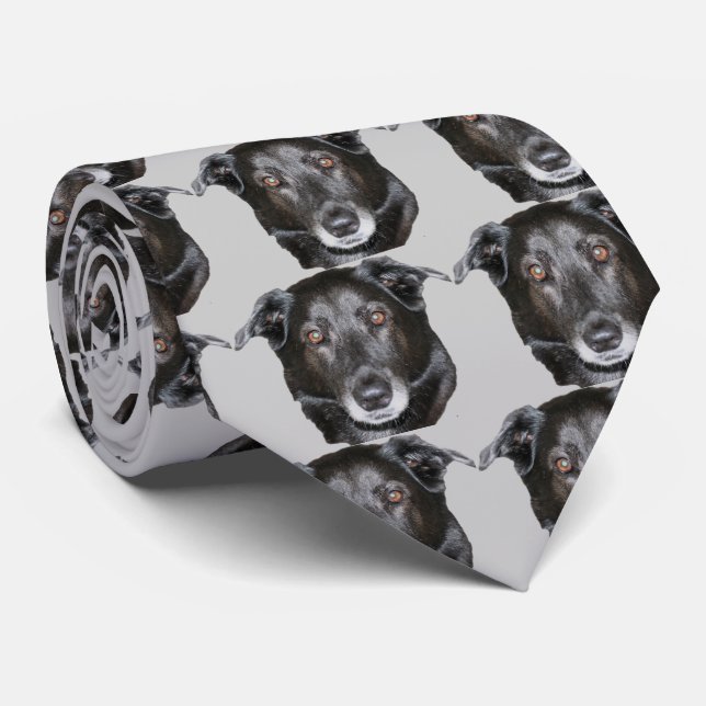 Black Labrador Retriever Dog Face Tie (Rolled)