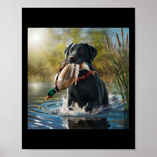 Black Labrador Retriever Dog Hunting Ducks In A Po Poster (Front)