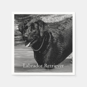 Black Labrador Retriever in Water Napkin