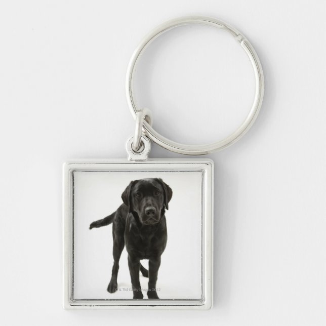 Black labrador retriever key ring (Front)