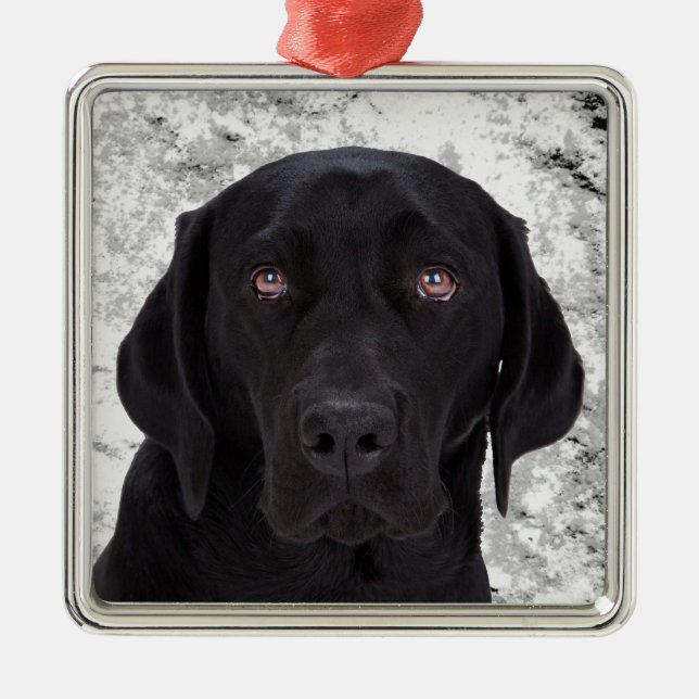 Black Labrador Retriever Metal Tree Decoration (Front)