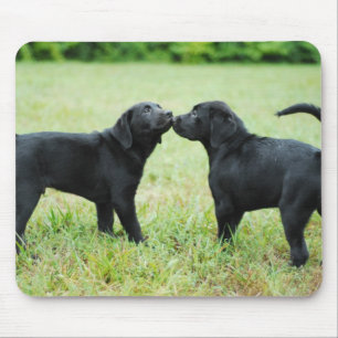 Black Labrador Retriever Mouse Mat