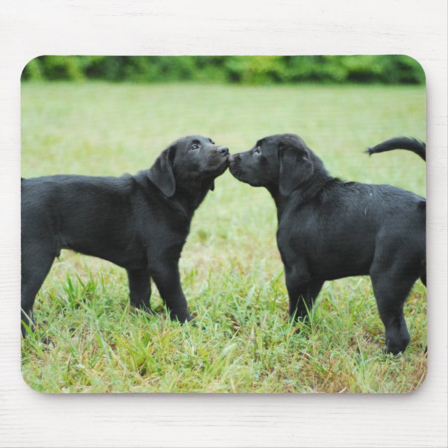 Black Labrador Retriever Mouse Mat (Front)