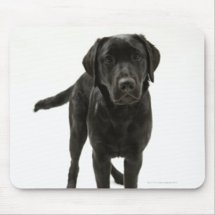 Black labrador retriever mouse mat