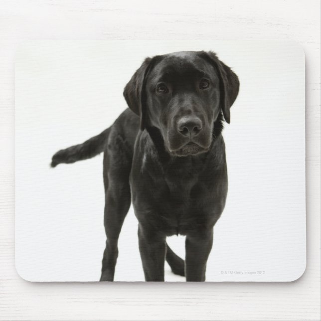 Black labrador retriever mouse mat (Front)