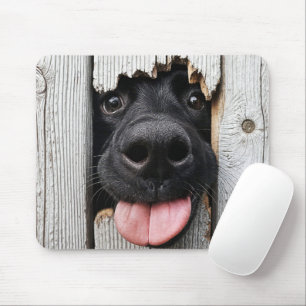 Black Labrador Retriever Nose In Wood Hole Mouse Mat
